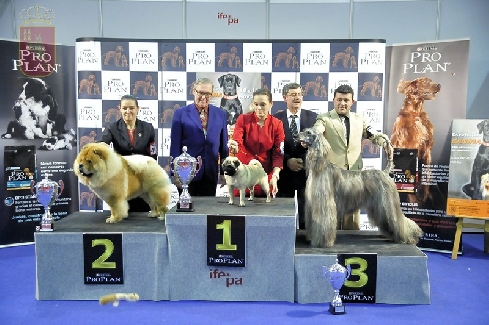 Canina Murciana Juez: 