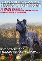 Concurso: CONCURSO CANINO NACIONAL DE "VALLE DE RICOTE"