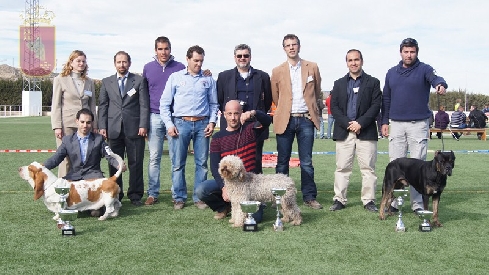 Canina Murciana Juez: 