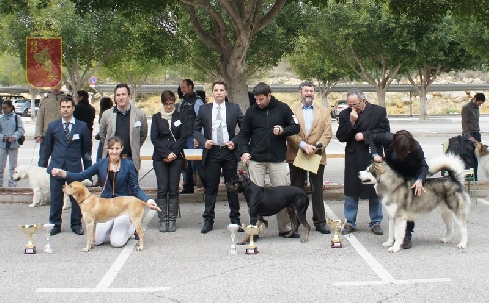 Canina Murciana Juez: 