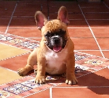 Sencillamente espectacular!!