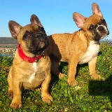 disfrutando de la naturaleza