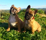 disfrutando de la naturaleza 1