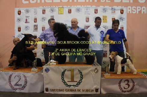 Canina Murciana Juez: 