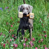 Trabajando para ganarse el pan!!