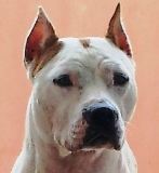 ILKA ( CUMPLO 2 A�OS )