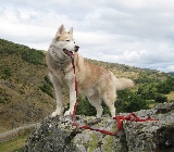 Samy controlando desde La Pe�a..