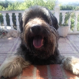 Cugar controlandolo...