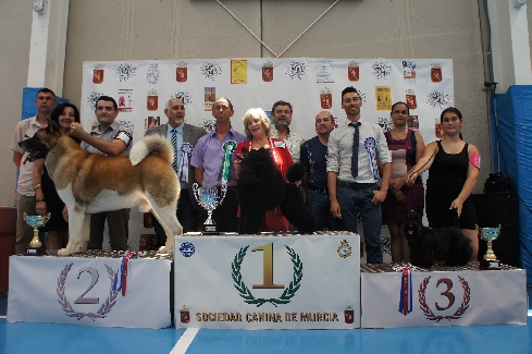 Canina Murciana Juez: 