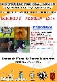 Concurso: IV CONCURSO CANINO NACIONAL DE PUERTO LUMBRERAS