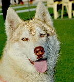 PUERTO LUMBRERAS 2014