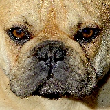 PUERTO LUMBRERAS 2014