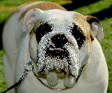 PUERTO LUMBRERAS 2014