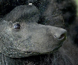 PUERTO LUMBRERAS 2014