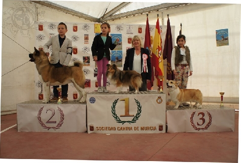 Canina Murciana Juez: 