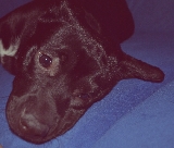 Despu�s de un d�a de mucho trabajo