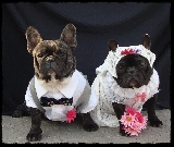 SE DIERON EL SI QUIERO