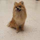 Foto postpelu ... Que wapo soy que tipo tengo!!!