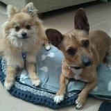 De merienda con mi primo