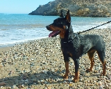 Mirando al horizonte