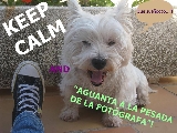 Keep Kalm y aguanta a la pesada de la fot�grafa