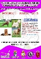 Concurso: V CONCURSO NACIONAL CANINO DE PUERTO LUMBRERAS