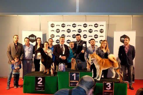 Canina Murciana Juez: 