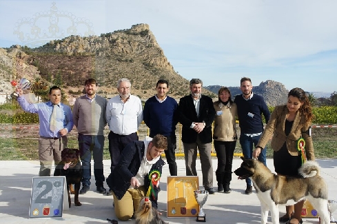 Canina Murciana Juez: 