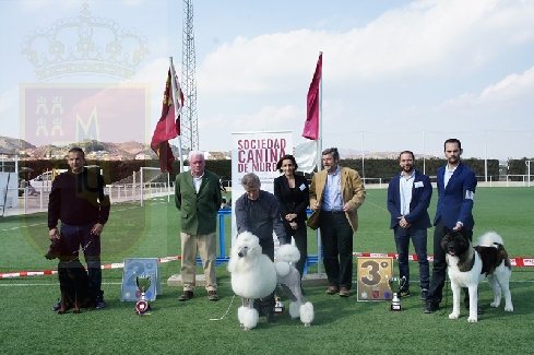 Canina Murciana Juez: 