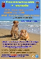 Concurso: V CONCURSO NACIONAL CANINO DE MAZARR�N