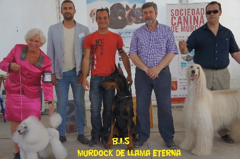 Canina Murciana Juez: 
