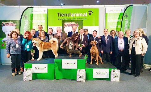 Canina Murciana Juez: 