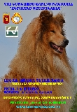 Actividad: Sociedad Canina de Murcia