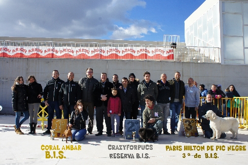 Canina Murciana Juez: 