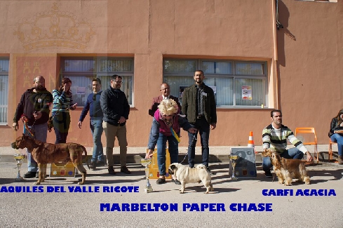 Canina Murciana Juez: 