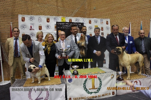 Canina Murciana Juez: 