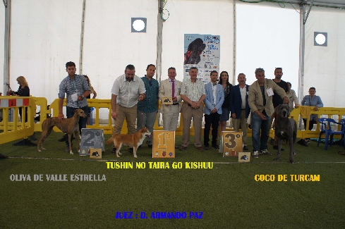 Canina Murciana Juez: 