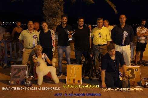 Canina Murciana Juez: 