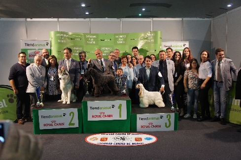 Canina Murciana Juez: 