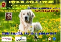 Concurso: EXPOSICION NACIONAL  de  PRIMAVERA  C.A.C. - TORRE PACHECO 2018