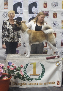 Canina Murciana Juez: 