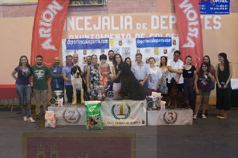 Canina Murciana Juez: 