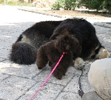 estas segura de que no hace nada??