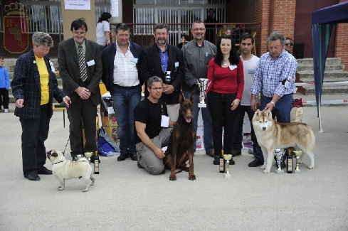 Canina Murciana Juez: 