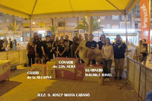 Canina Murciana Juez: 