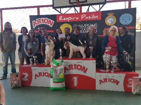 Canina Murciana Juez: 