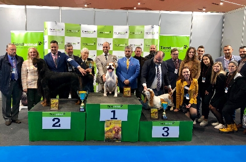 Canina Murciana Juez: 