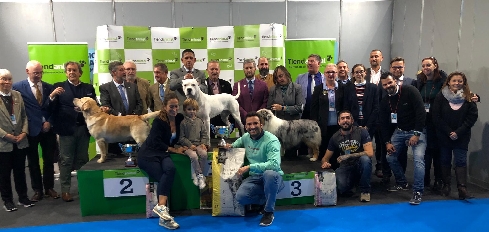 Canina Murciana Juez: 