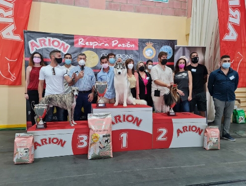 Canina Murciana Juez: 