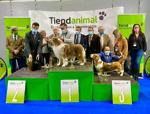 Canina Murciana Juez: 